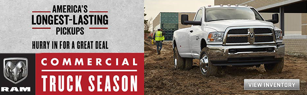 Palmen Alfa Romeo in Kenosha WI