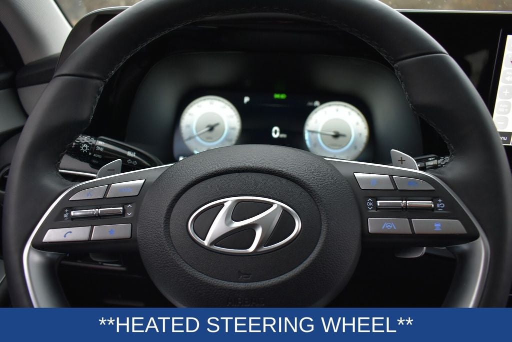 2025 Hyundai Palisade SEL Premium