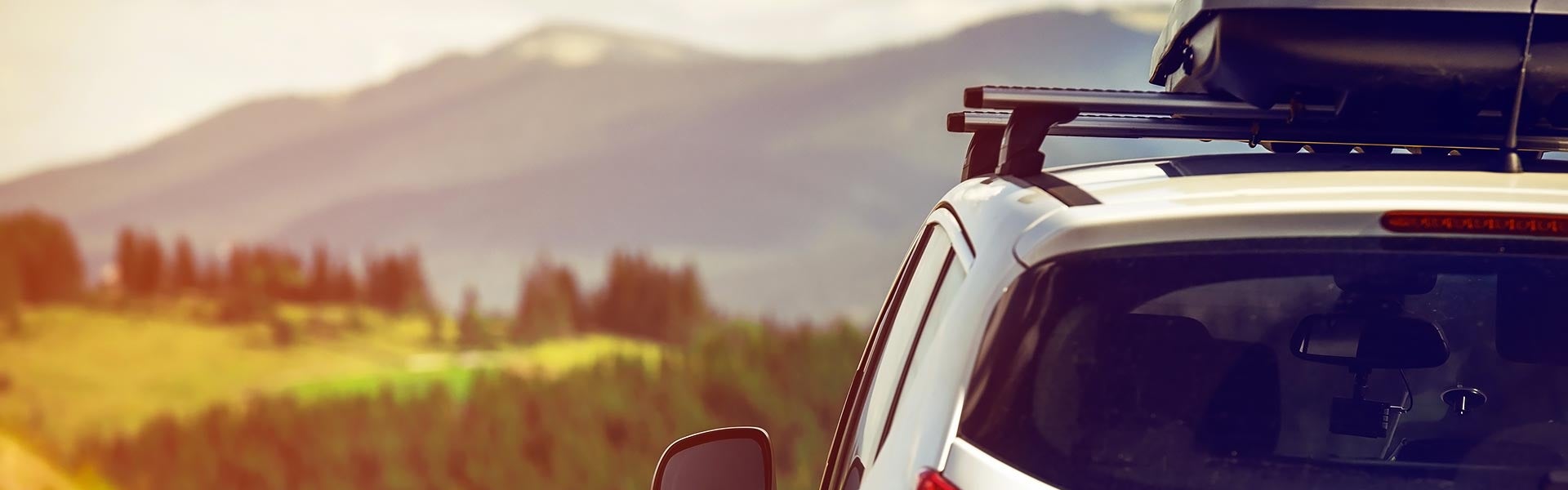 Palmen Alfa Romeo in Kenosha WI